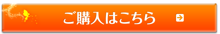 脱臭・防臭・抗菌・防カビスプレー 送料無料3,218円（税込）